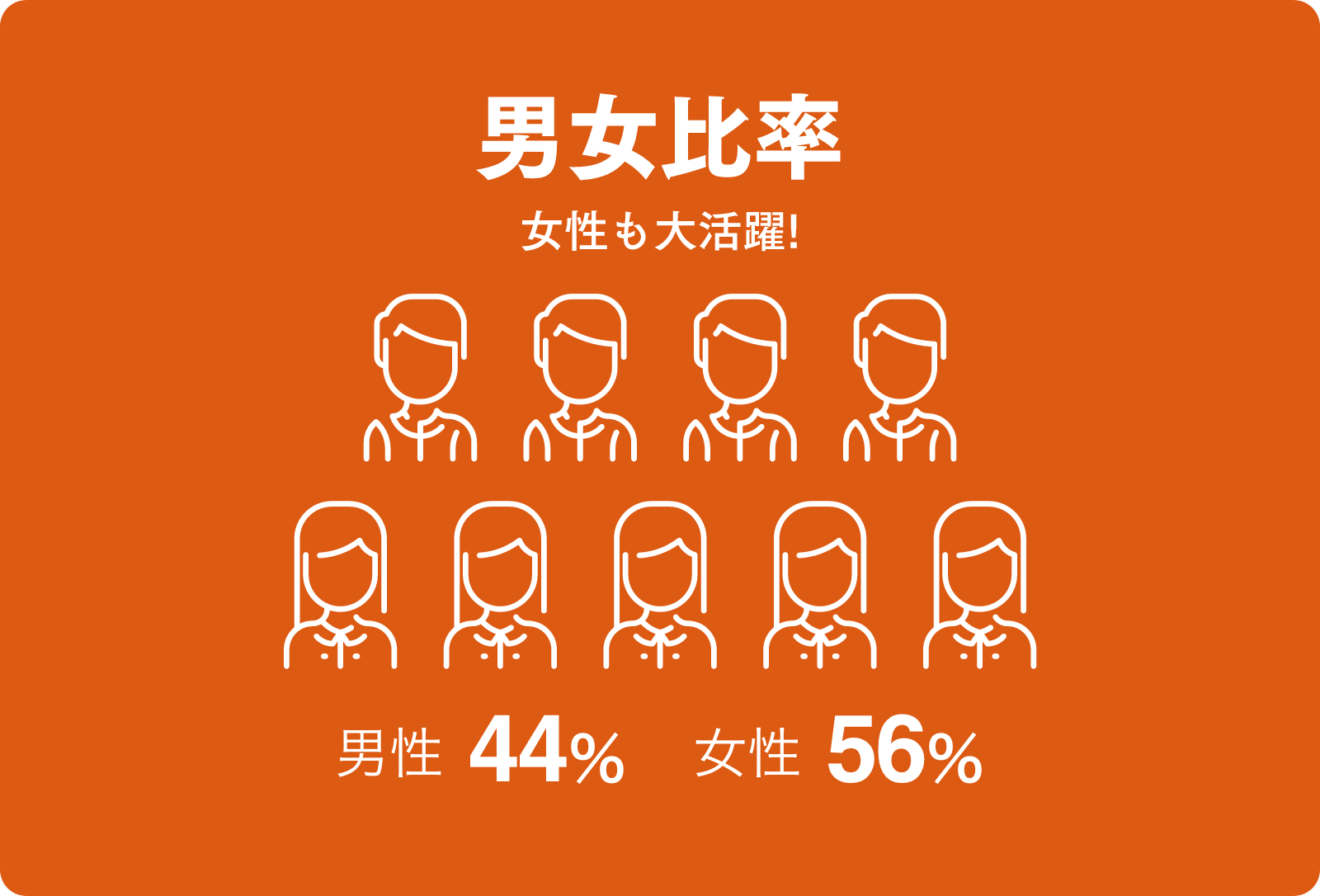 男女比率　女性も大活躍!