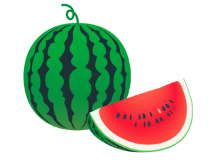 スイカゲーム　ご存知ですか？🍉