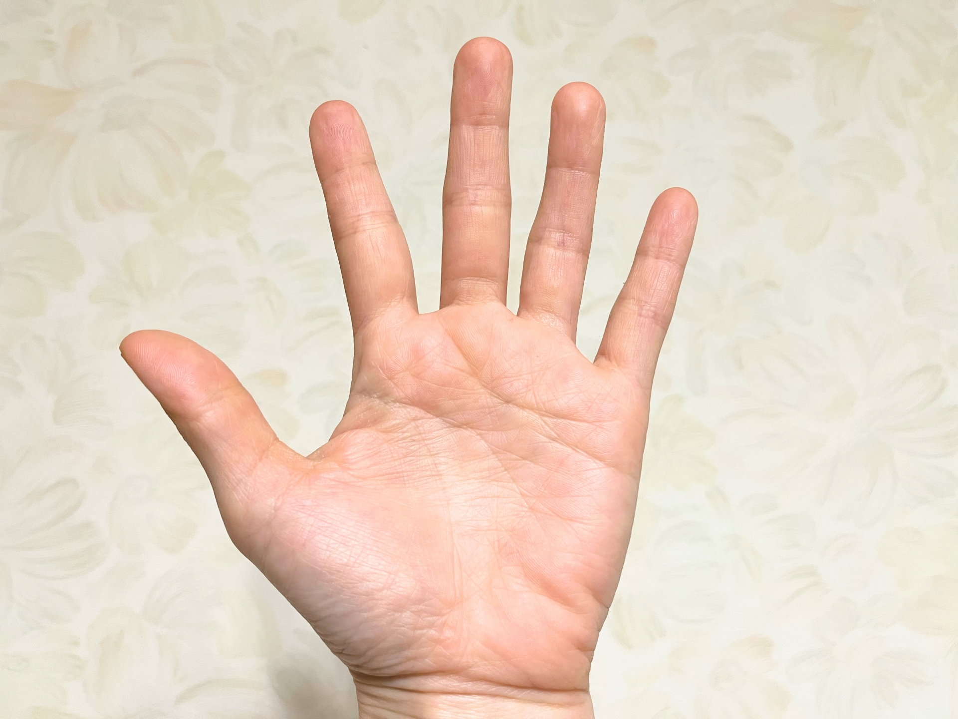 手相で自己分析！ | 就労移行支援 CONNECT(こねくと)精神・発達障害