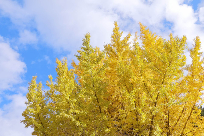 開業して1年です!!皆様ありがとうございます!!!